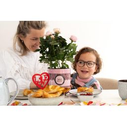 Rosa Light Pink In P&PURE "SPECIAL POUR TOI" Verpakking (53385)