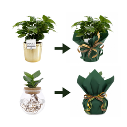 Cadeau-inpakservice - Inpakpapier & lint (56082)