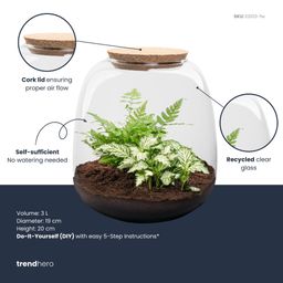 Planten terrarium - Emma Mini - DIY kit - Ø 19 cm - Fittonia White Tiger (8720872022314)