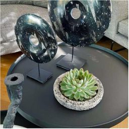 Rootless by aloe demi ROOTLESS Succulent Echeveria Pulidonis in schaal 'Concrete' Ø20 cm (8721001420162)