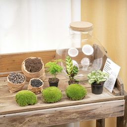 DIY Planten terrarium (met verlichting) - Bolder Bob - Ø 31 cm ↑ 30 cm - No tools (53976)