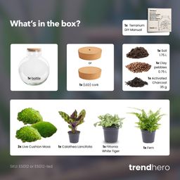 DIY Planten terrarium (met verlichting) - Bolder Bob - Ø 31 cm ↑ 30 cm - No tools (53976)