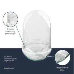 Terrarium fles tweedelig - Egg XL - Ø 17,5 cm ↑ 30 cm (87208720211393)