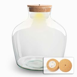 Terrarium fles met verlichting - Fat Joe - Ø 29 cm ↑ 30 cm (8720872023601)