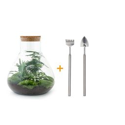 DIY Planten terrarium met licht - Sam XL Green - Ø 30 cm ↑ 32 cm - Rake + Shovel (8720726958035)