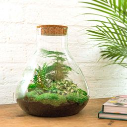 DIY Planten terrarium met licht - Sam XL Green - Ø 30 cm ↑ 32 cm - Rake + Shovel (8720726958035)
