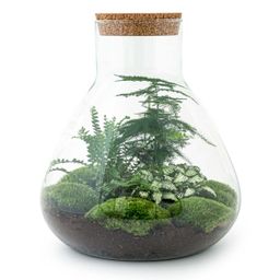 DIY Planten terrarium met licht - Sam XL Green - Ø 30 cm ↑ 32 cm - Rake + Shovel (8720726958035)