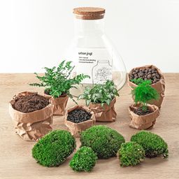 DIY Planten terrarium met licht - Sam XL Green - Ø 30 cm ↑ 32 cm - Rake + Shovel (8720726958035)