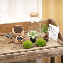DIY Planten terrarium met licht - Little Milky Bonsai - Ø 17 cm ↑ 25 cm (8720872022253)