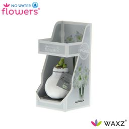 No Water Flowers Waxz® White In Gift Box (22207)