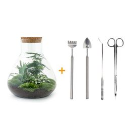 DIY Planten terrarium met licht - Sam XL Green - Ø 30 cm ↑ 32 cm - Rake + Shovel + Tweezer + Scissors (8720726958059)