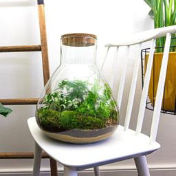 DIY Planten terrarium met licht - Sam XL Green - Ø 30 cm ↑ 32 cm - Rake + Shovel + Tweezer + Scissors (8720726958059)