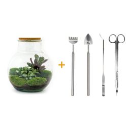 DIY Planten terrarium (met licht) - Teddy - Ø 25 cm ↑ 26,5 cm - Rake + Shovel + Tweezer + Scissors (8720726958400)