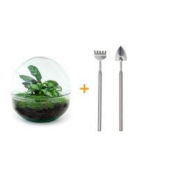 DIY Planten terrarium tweedelig bolglas - Dome - Ø 20 cm ↑ 20 cm - Rake + Shovel (8720726958721)