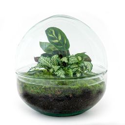 DIY Planten terrarium tweedelig bolglas - Dome - Ø 20 cm ↑ 20 cm - Rake + Shovel (8720726958721)
