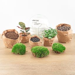 DIY Planten terrarium tweedelig bolglas - Dome - Ø 20 cm ↑ 20 cm - Rake + Shovel (8720726958721)