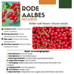 Premium basics "Vruchtenparadijs" BIO Fruitplanten mix set van 4 verschillende soorten (48361)