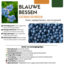 Premium basics "Zomervruchten" BIO Fruitplanten mix set van 4 verschillende soorten (48359)