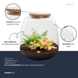 Planten terrarium - Emma Mini - DIY kit - Ø 19 cm - Fittona Ruby Lime (8720872022161)