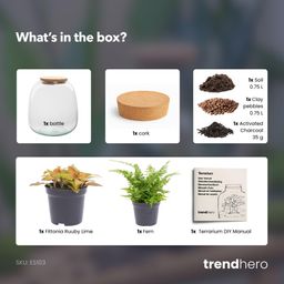 Planten terrarium - Emma Mini - DIY kit - Ø 19 cm - Fittona Ruby Lime (8720872022161)