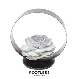 Rootless by aloe demi ROOTLESS Succulent Echeveria Lilacina op Deco tafelstandaard Ø20 cm (8721001420254)