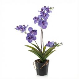 Orchidee Vanda kunstplant 60 cm - Paars - In pot - Artificial plant (8714344331929)