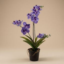 Orchidee Vanda kunstplant 60 cm - Paars - In pot - Artificial plant (8714344331929)