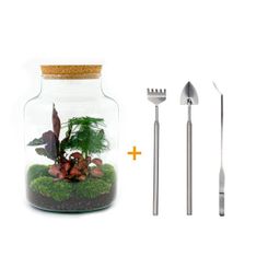 DIY Planten terrarium met licht - Milky - Ø 21 cm ↑ 30 cm - Rake + Shovel + Tweezer (8720726958141)