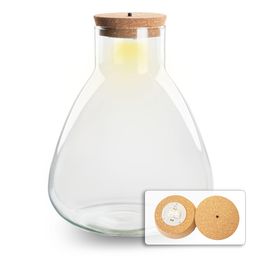 Terrarium fles met verlichting - Sam - Ø 24,5 cm ↑ 30 cm (8717336483699)