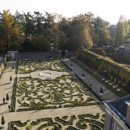 Buxus Haag - BetterBuxus Babylon Beauty - Resistant tegen de Buxus Schimmel - 14 planten - 2 strekkende meter - pot 10,5cm hoogte 25-30 (8720862103542)