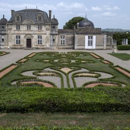 Buxus Haag - BetterBuxus Babylon Beauty - Resistant tegen de Buxus Schimmel - 14 planten - 2 strekkende meter - pot 10,5cm hoogte 25-30 (8720862103542)