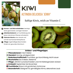 Premium basics "Zoete oogst trio" BIO Fruitplanten mix set van 3 verschillende soorten (48358)