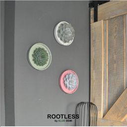 Rootless by aloe demi ROOTLESS Succulent Echeveria Pulidonis in schaal 'roze' Ø20 cm (8721001420179)