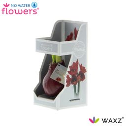 No Water Flowers Waxz® Bordeaux In Gift Box (22202)