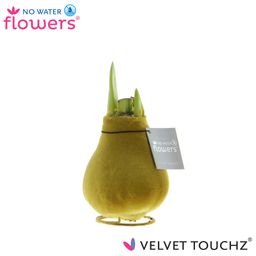 No Water Flowers Velvet Touchz® Gold (22926)