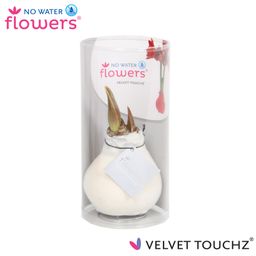 No Water Flowers Velvet Touchz® White In Koker (22233)