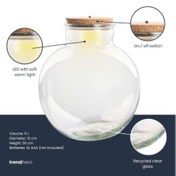Terrarium fles met (LED) kurk - Bolder Bob - Ø 30 cm ↑ 31 cm - Met LED-kurk (53749)