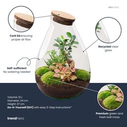 DIY Planten terrarium - Drop XL Bonsai 'red' - Ø 24 cm ↑ 37 cm - Rake + Shovel + Tweezer (8720726958806)