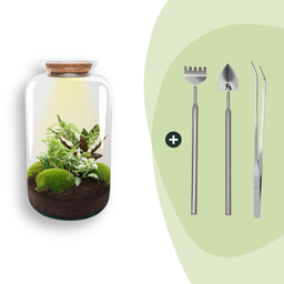DIY Planten terrarium met licht - Sven XL Botanical - Ø 23 cm ↑ 43 cm - Rake + Shovel + Tweezer (8720872020495)