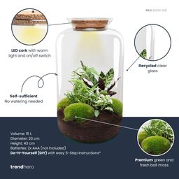DIY Planten terrarium met licht - Sven XL Botanical - Ø 23 cm ↑ 43 cm - Rake + Shovel + Tweezer (8720872020495)