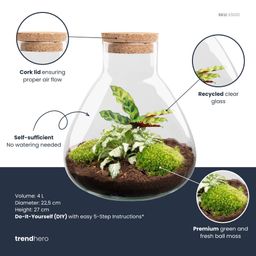 DIY terrarium - Sammie Calathea - Rake + Shovel (8720726958004)