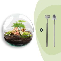 DIY Planten terrarium tweedelig bolglas - Dome Red - Ø 20 cm ↑ 20 cm - Rake + Shovel (8720726958769)
