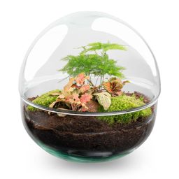 DIY Planten terrarium tweedelig bolglas - Dome Red - Ø 20 cm ↑ 20 cm - Rake + Shovel (8720726958769)