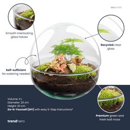DIY Planten terrarium tweedelig bolglas - Dome Red - Ø 20 cm ↑ 20 cm - Rake + Shovel (8720726958769)