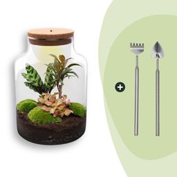 DIY Planten terrarium met licht - Milky - Ø 21 cm ↑ 30 cm - Rake + Shovel (8720726958134)