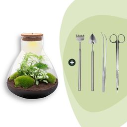 DIY Planten terrarium met licht - Sam XL Green - Ø 30 cm ↑ 32 cm - Rake + Shovel + Tweezer + Scissors (8720726958059)