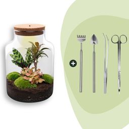DIY Planten terrarium met licht - Milky - Ø 21 cm ↑ 30 cm - Rake + Shovel + Tweezer + Scissors (8720726958158)