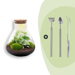 DIY Planten terrarium met licht - Sam XL Green - Ø 30 cm ↑ 32 cm - Rake + Shovel + Tweezer (8720726958042)
