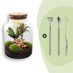 DIY Planten terrarium met licht - Milky - Ø 21 cm ↑ 30 cm - Rake + Shovel + Tweezer (8720726958141)