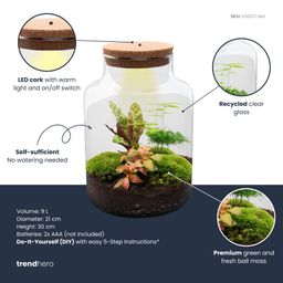 DIY Planten terrarium met licht - Milky - Ø 21 cm ↑ 30 cm - Rake + Shovel + Tweezer (8720726958141)